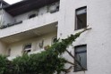 Einsatz BF Baum umgestuerzt Koeln Kalk Eythstr P05